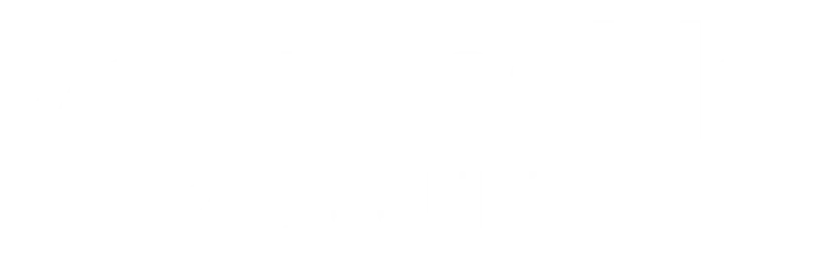 Tenable Assure Partner